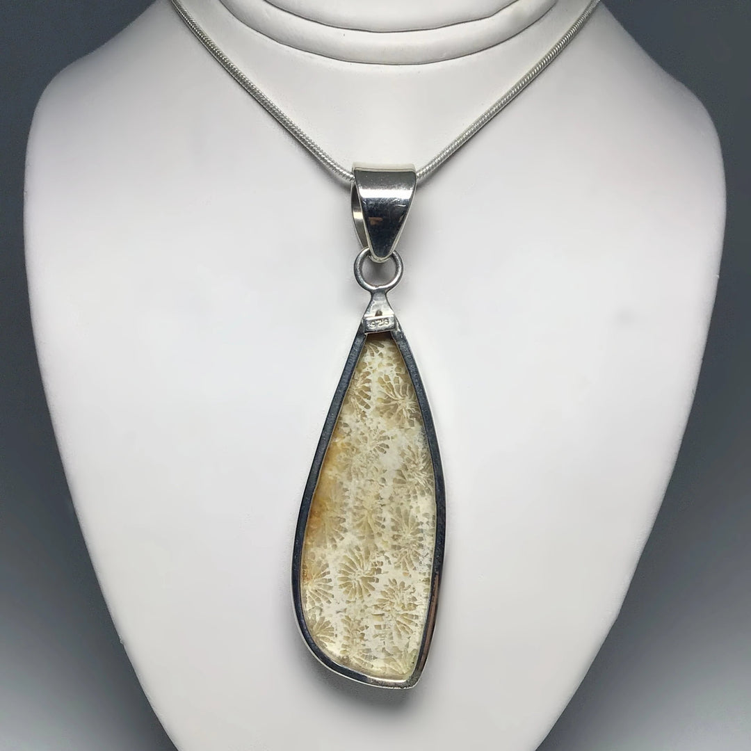 Fossilized Coral Pendant