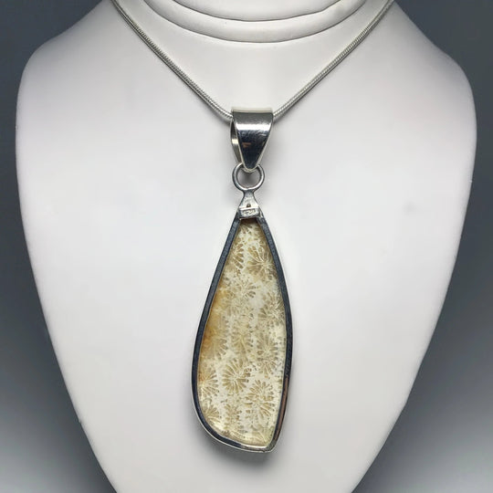 Fossilized Coral Pendant