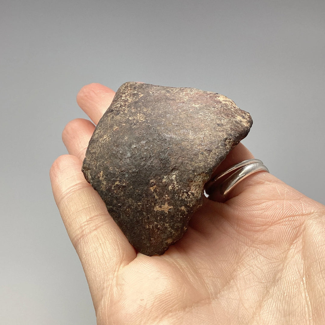 NWA Chondrite Meteorite Specimen