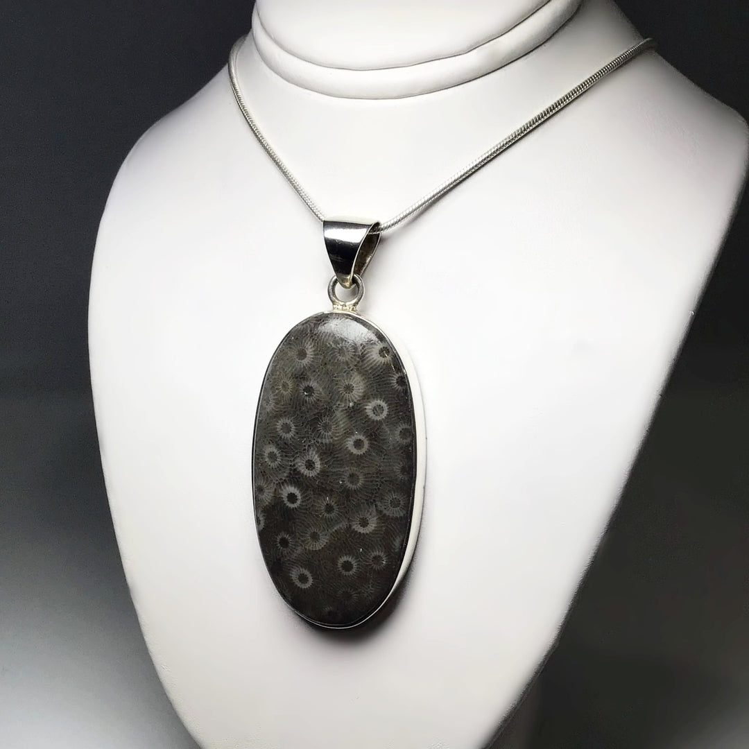 Fossilized Coral Pendant