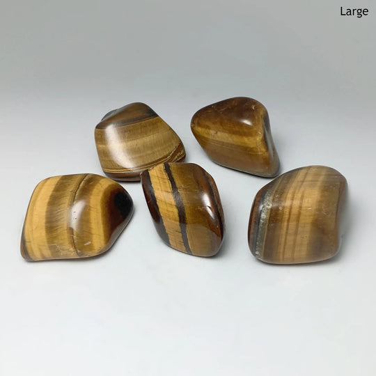 Tiger Eye Tumble