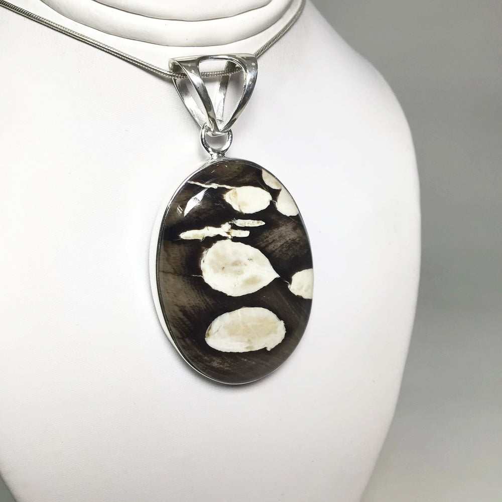 Petrified Peanut Wood Pendant