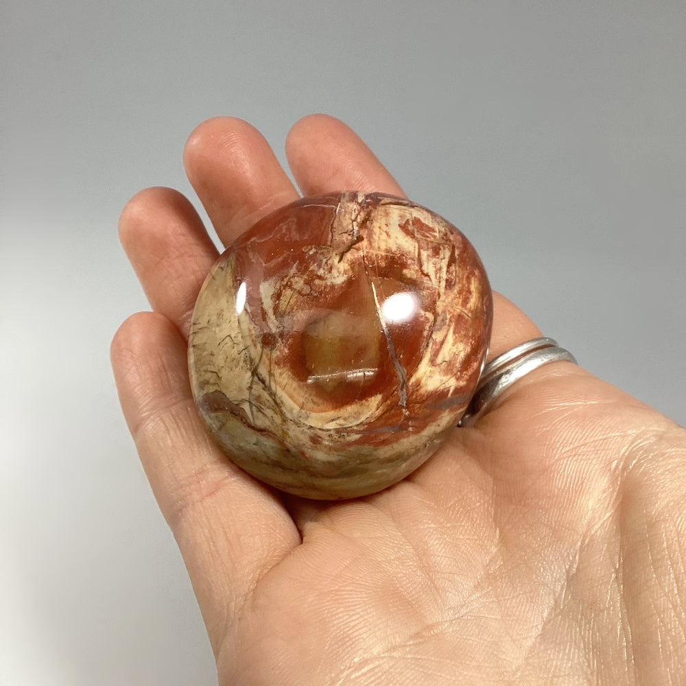 Petrified Wood Tumble