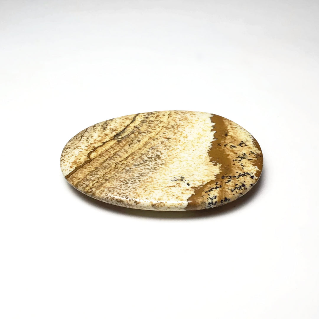 Worry Stone - Picture Jasper