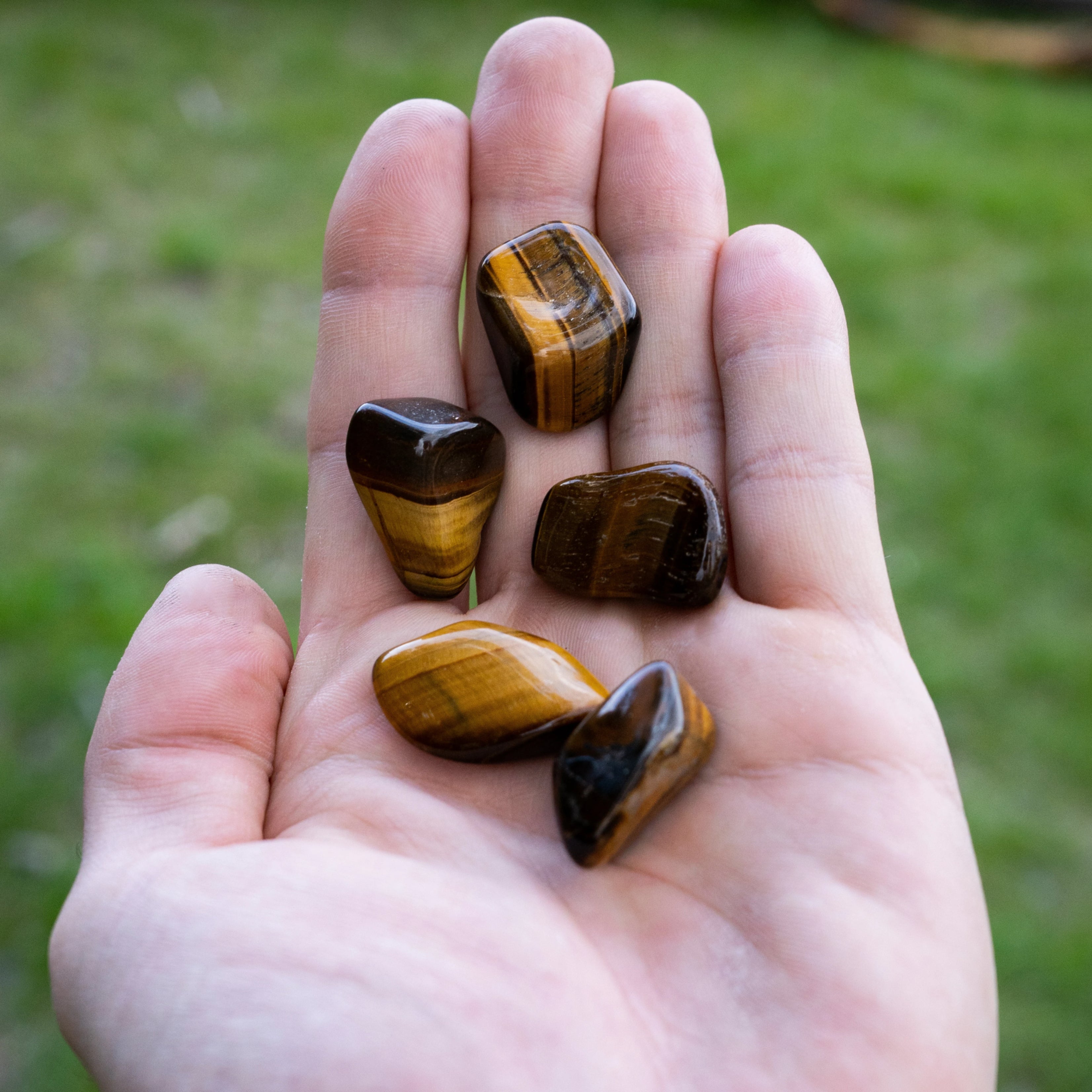 Tiger Eye Small Tumbles Pouch