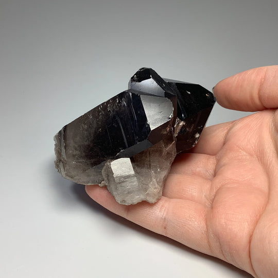 Smoky Quartz Cluster