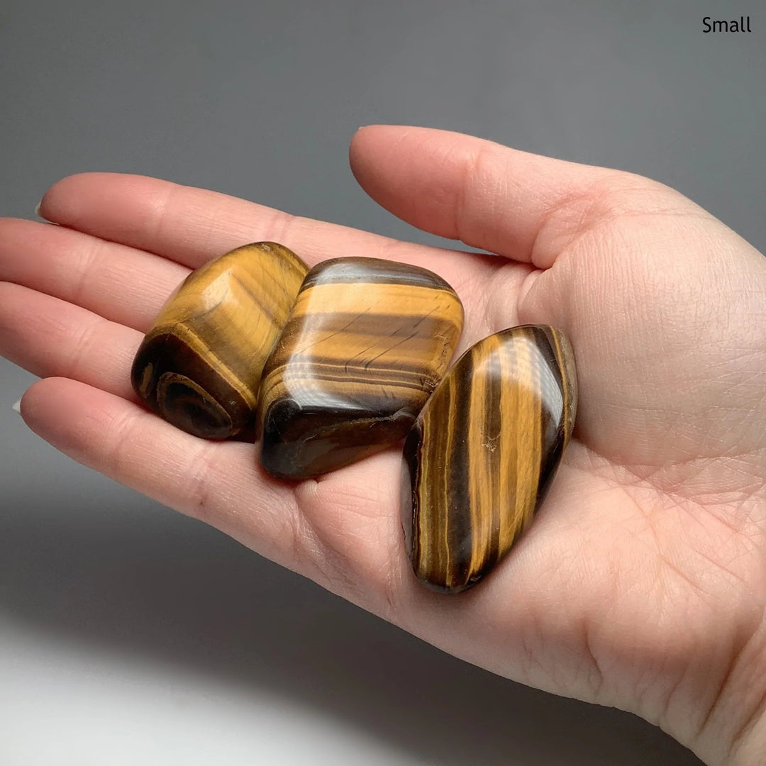 Tiger Eye Tumble