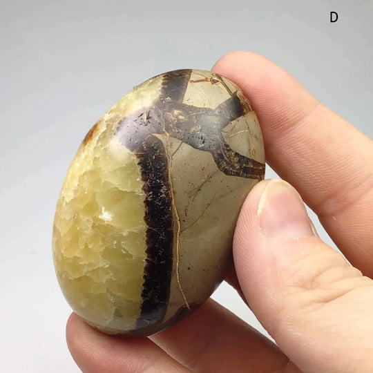 Septarian Tumble at $29 Each