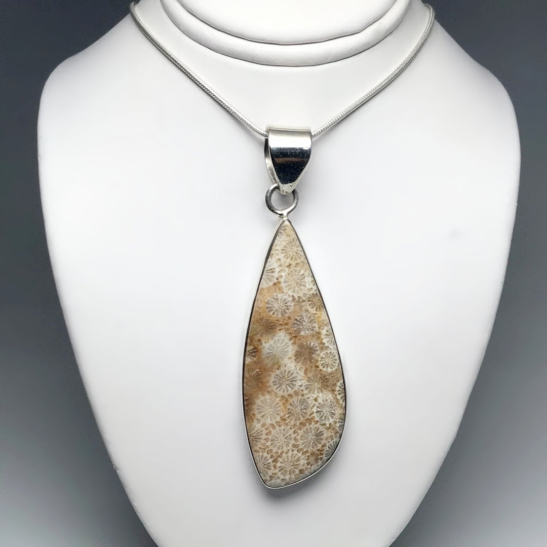 Fossilized Coral Pendant