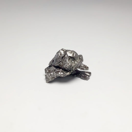 Campo Del Cielo Meteorite