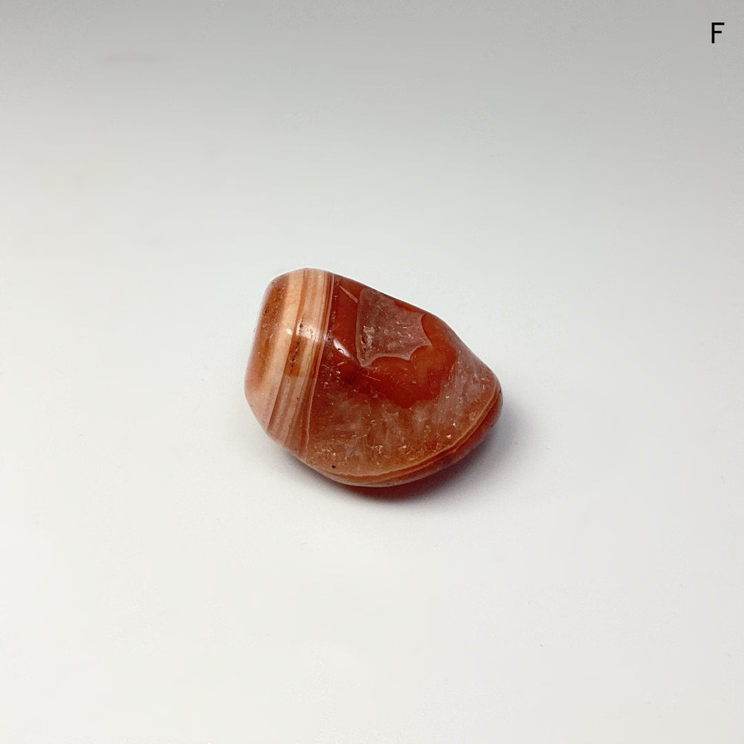 Carnelian Agate Tumble at $15 Each