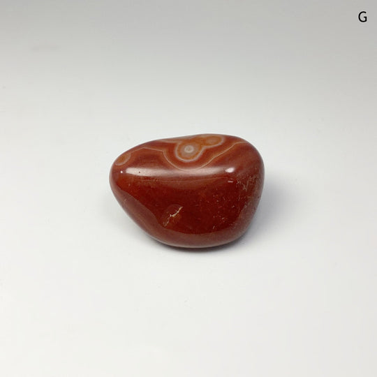 Carnelian Agate Tumble at $15 Each