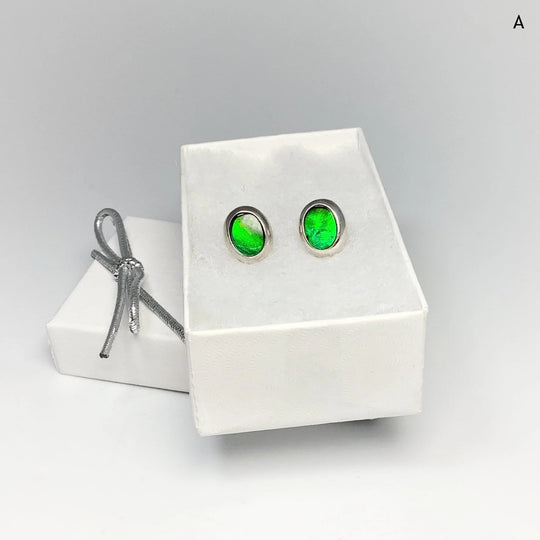 Alberta Ammolite Stud Earrings