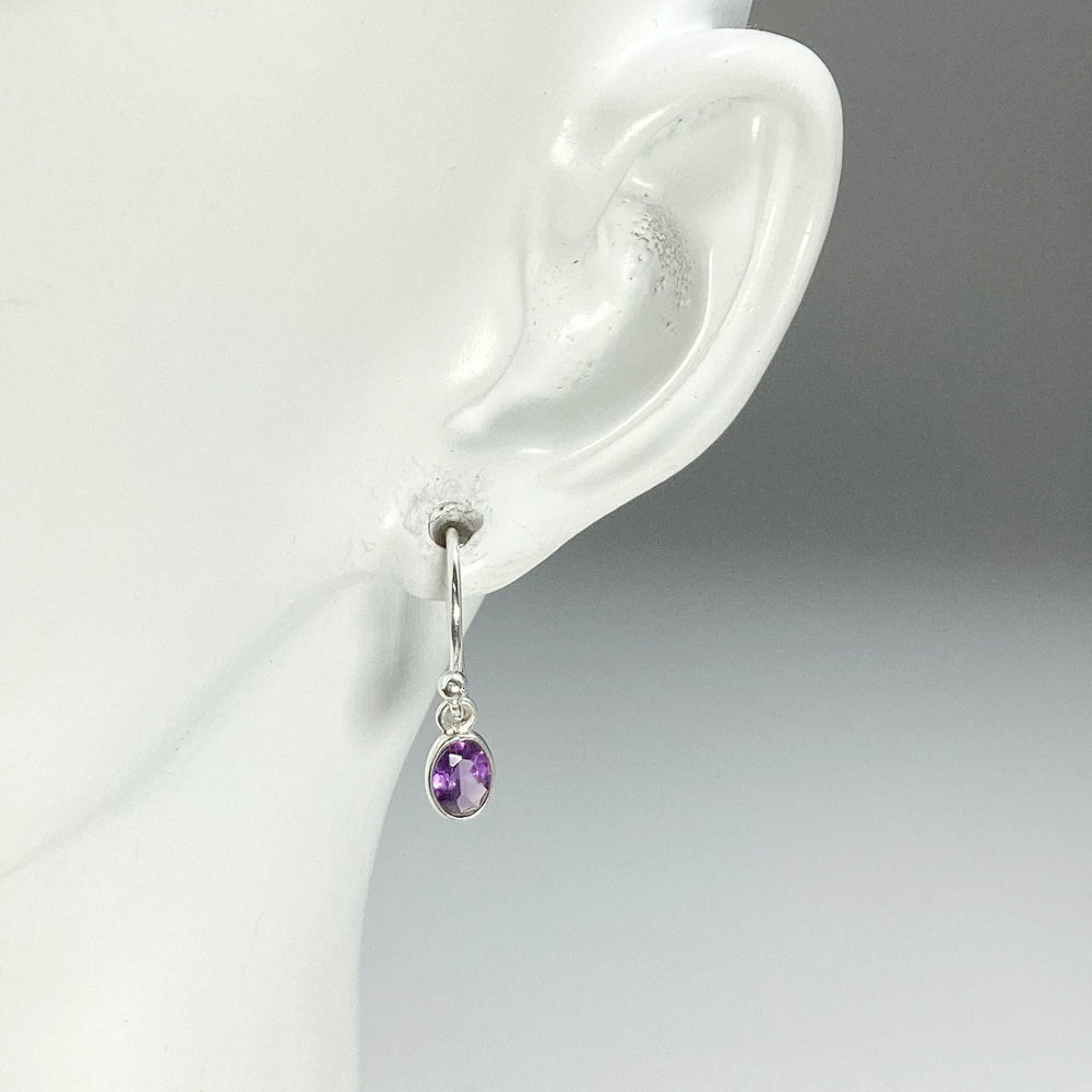 Amethyst Dangle Earrings