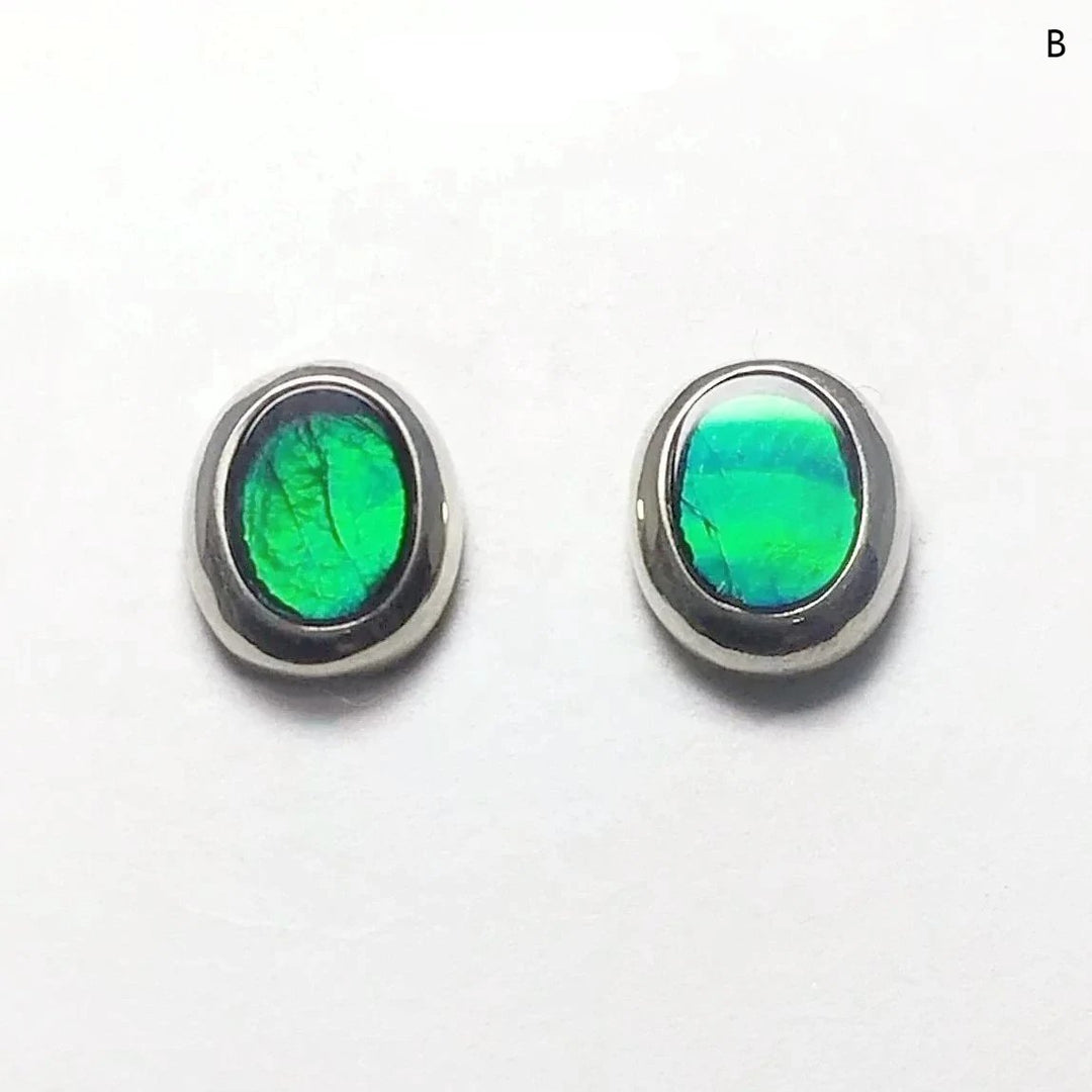 Alberta Ammolite Stud Earrings