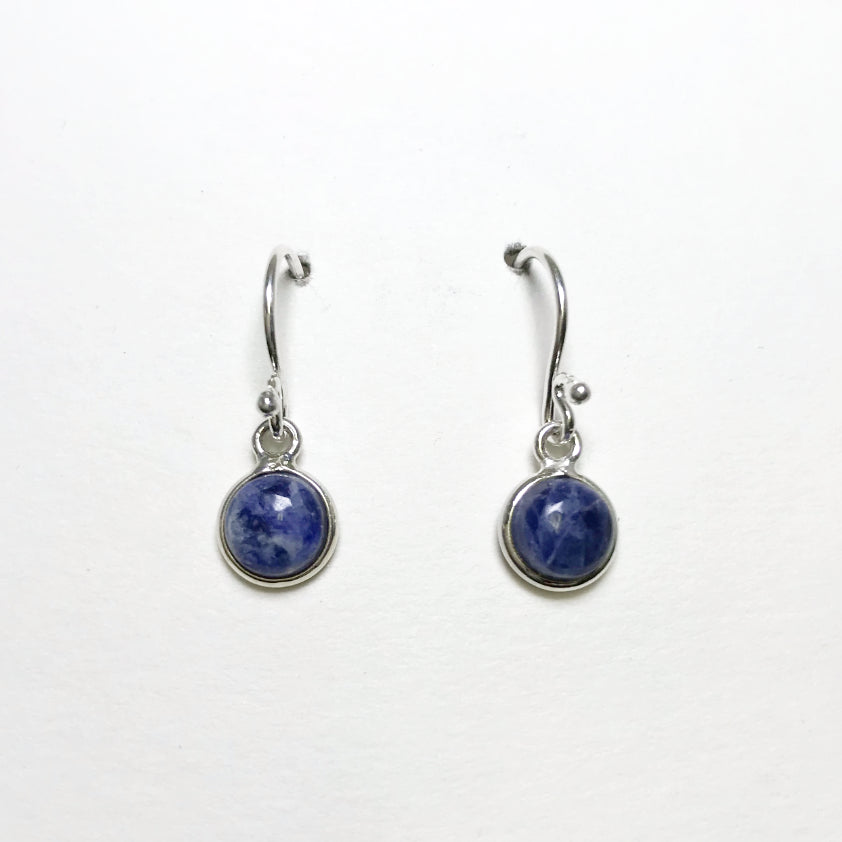 Sodalite Dangle Earrings