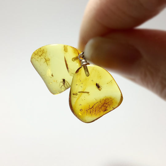 Amber with Preserved Insect Inclusion Dangle Earrings