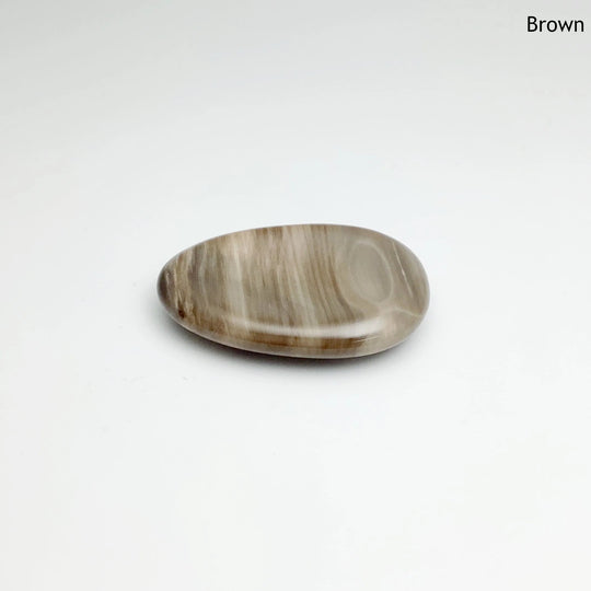 Worry Stone - Petrified Wood