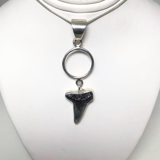 Fossilized Shark Tooth Pendant