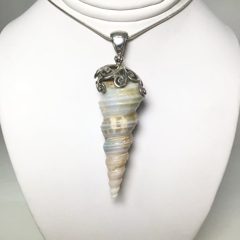 Fossilized Turritella Pendant