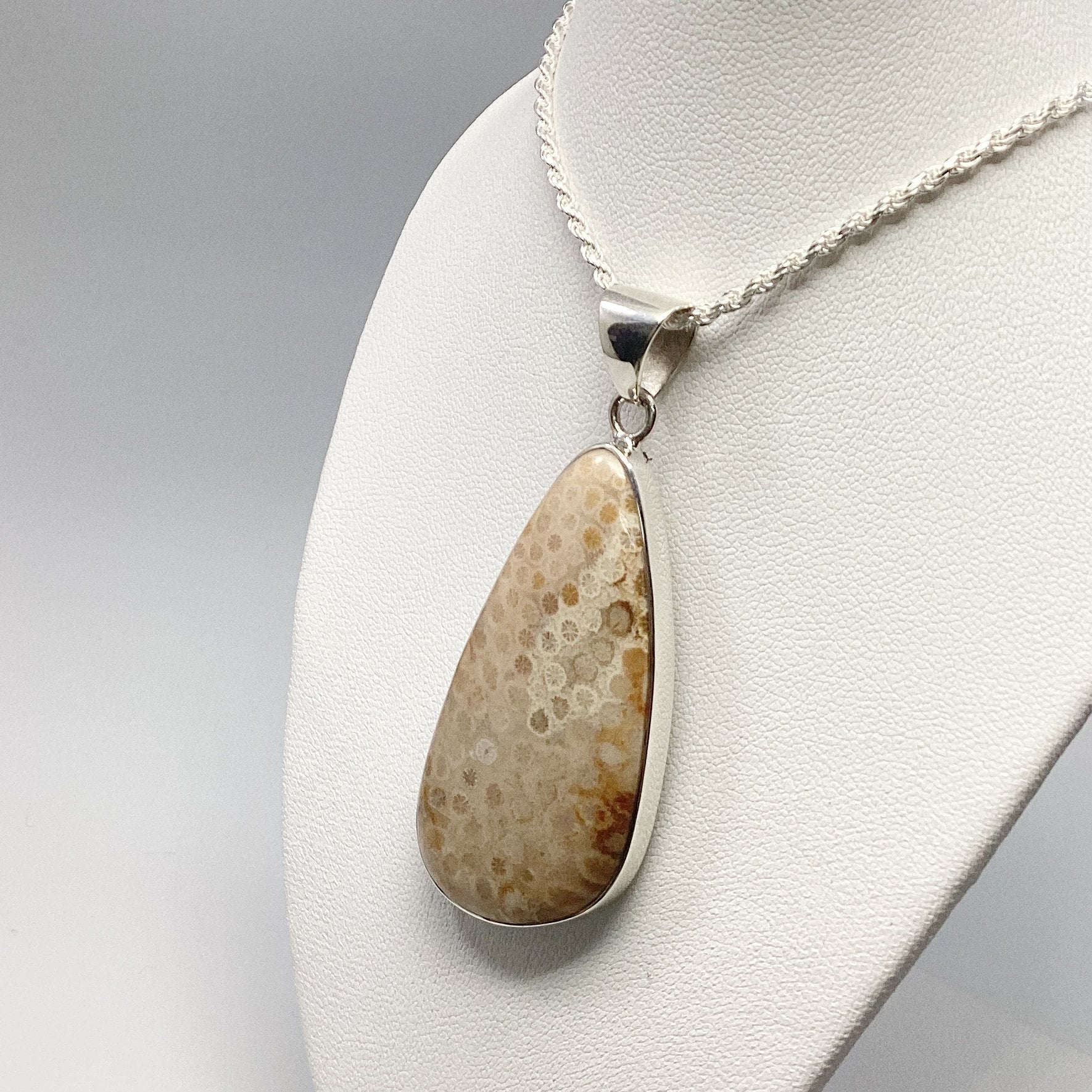 Fossilized Coral Pendant