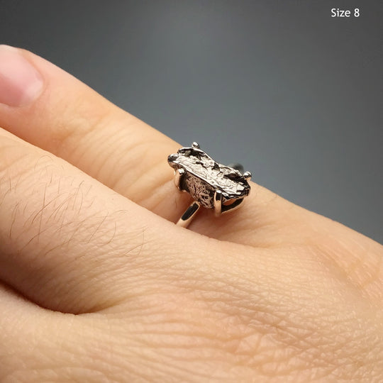 Campo Del Cielo Meteorite Ring at $99 Each