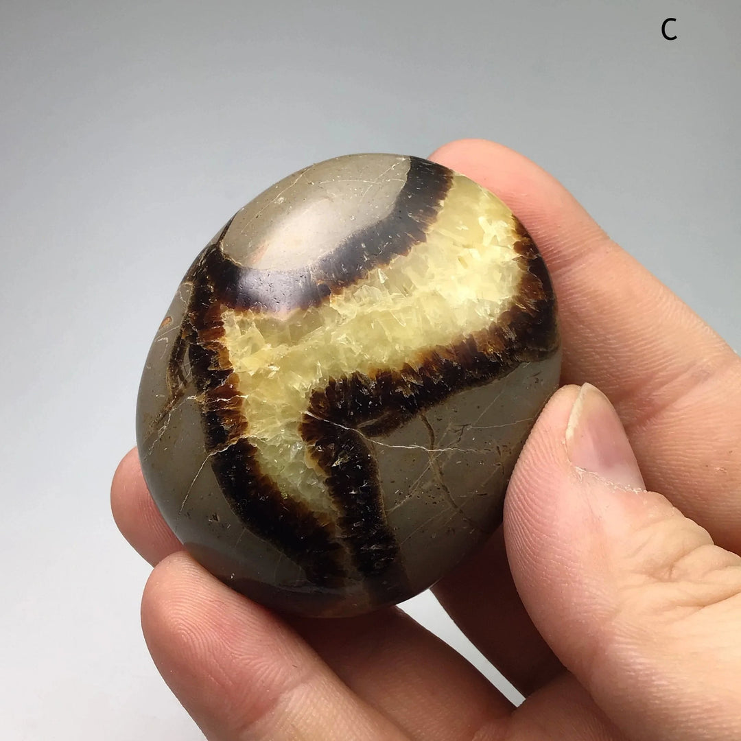 Septarian Tumble at $29 Each