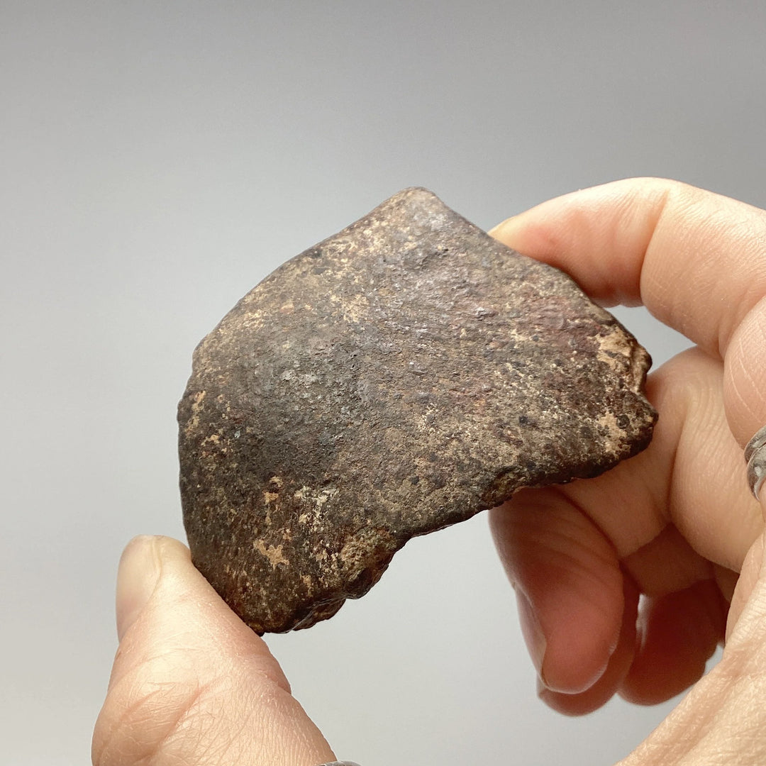 NWA Chondrite Meteorite Specimen