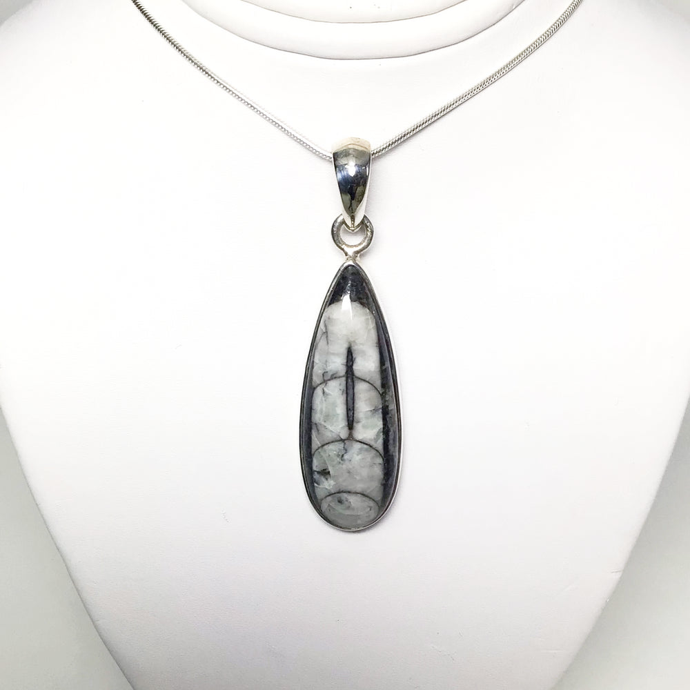 Orthoceras Pendant