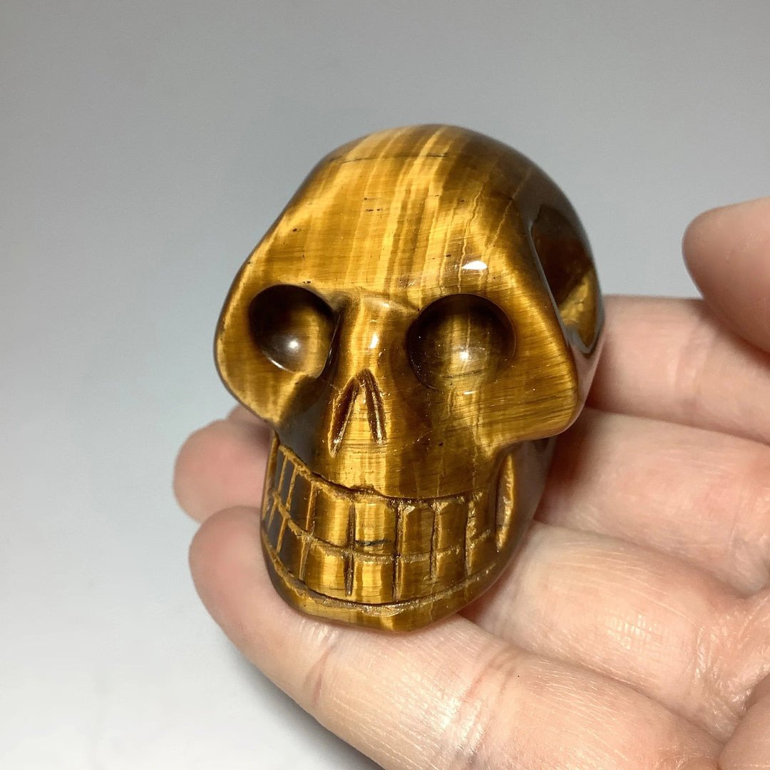 Carved Tiger Eye Skull