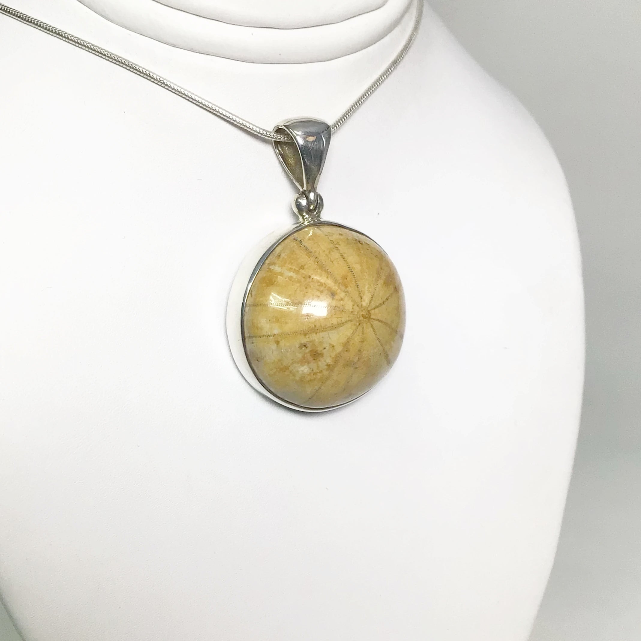 Fossil Sand Dollar Pendant