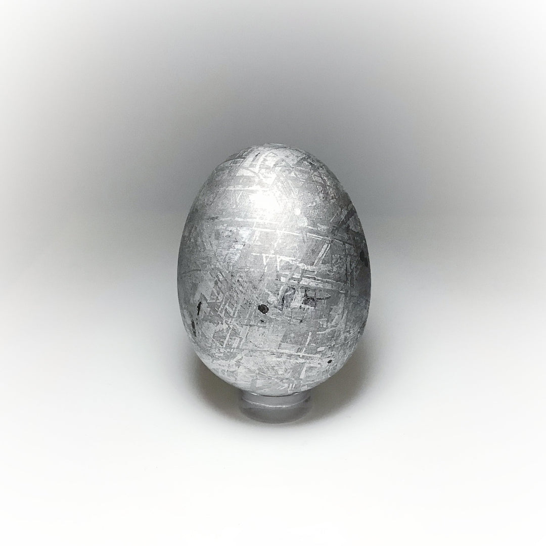 Gibeon Meteorite Egg Carving