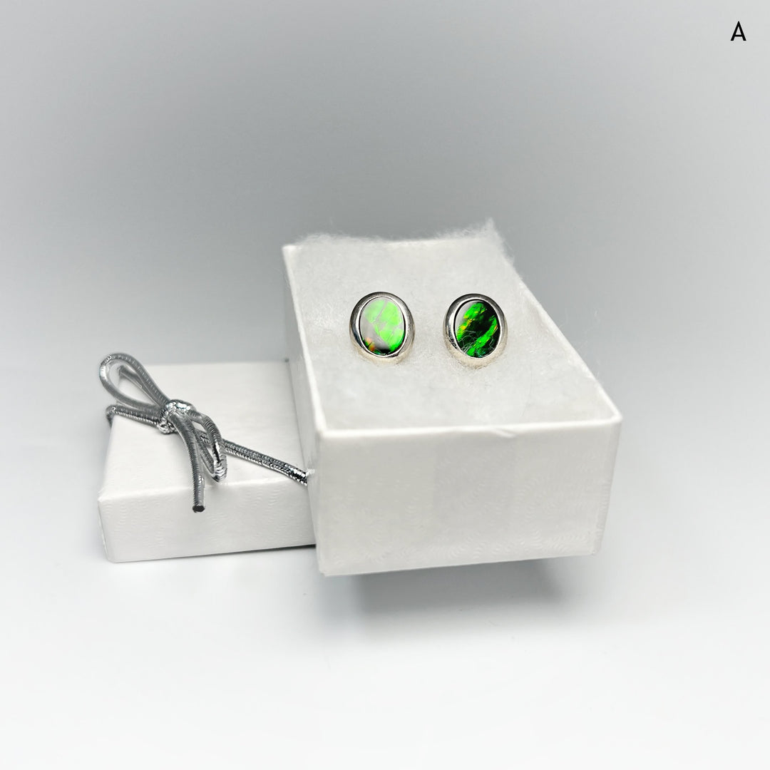 Alberta Ammolite Stud Earrings