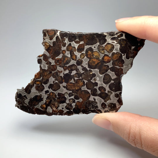 Sericho Meteorite Slice