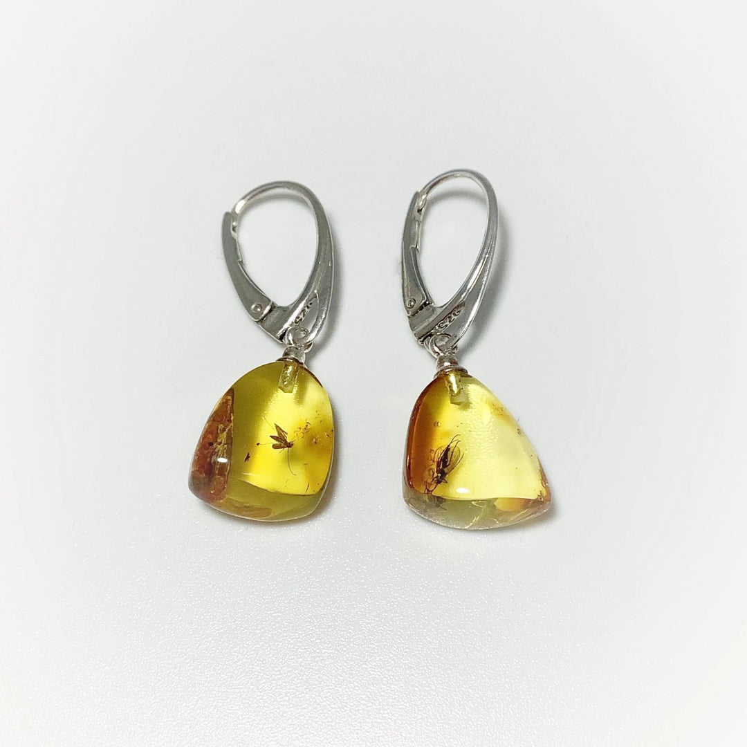 Amber with Preserved Insect Inclusion Dangle Earrings