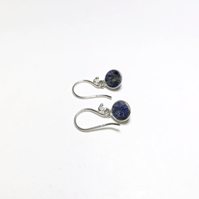 Sodalite Dangle Earrings