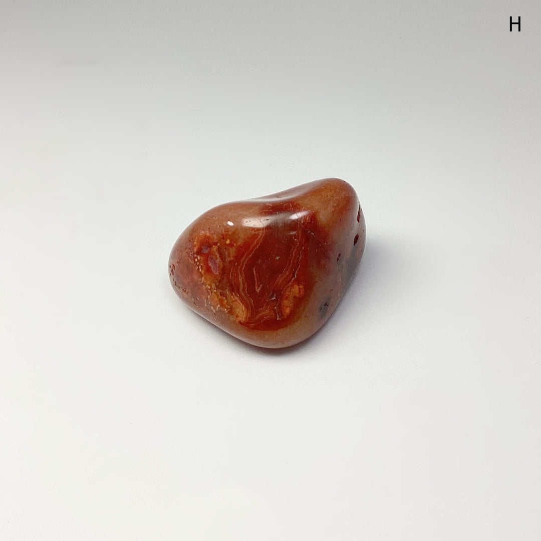 Carnelian Agate Tumble at $15 Each