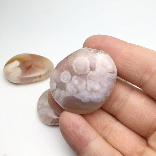 Flower Agate Touch Stone at $29 Each