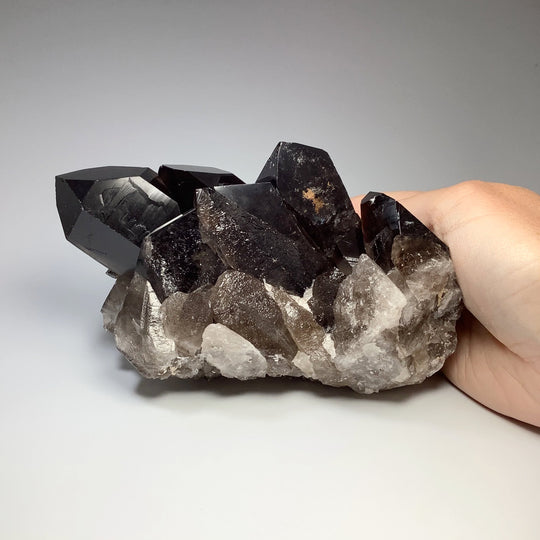 Smoky Quartz Large Cluster