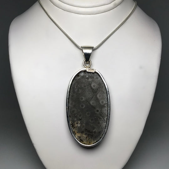 Fossilized Coral Pendant