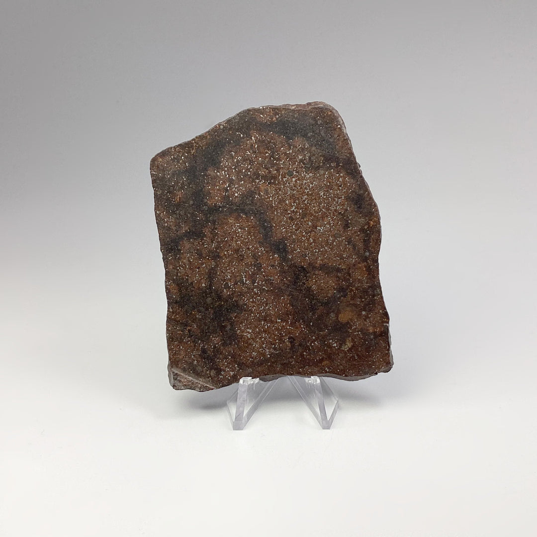 NWA Chondrite Meteorite Slab