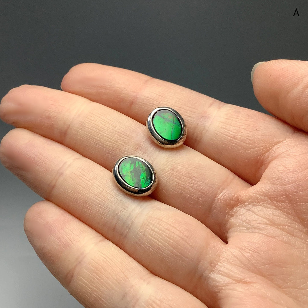 Alberta Ammolite Stud Earrings