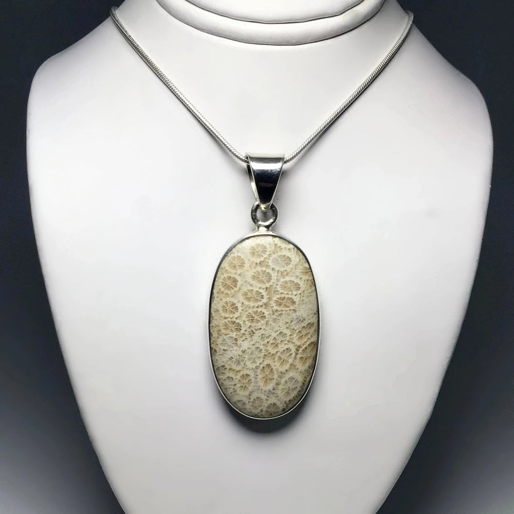 Fossilized Coral Pendant