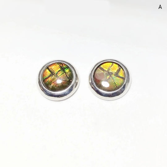 Alberta Ammolite Stud Earrings