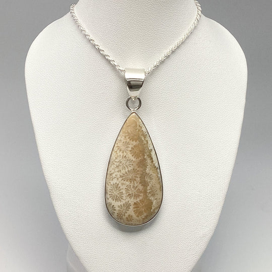 Fossilized Coral Pendant