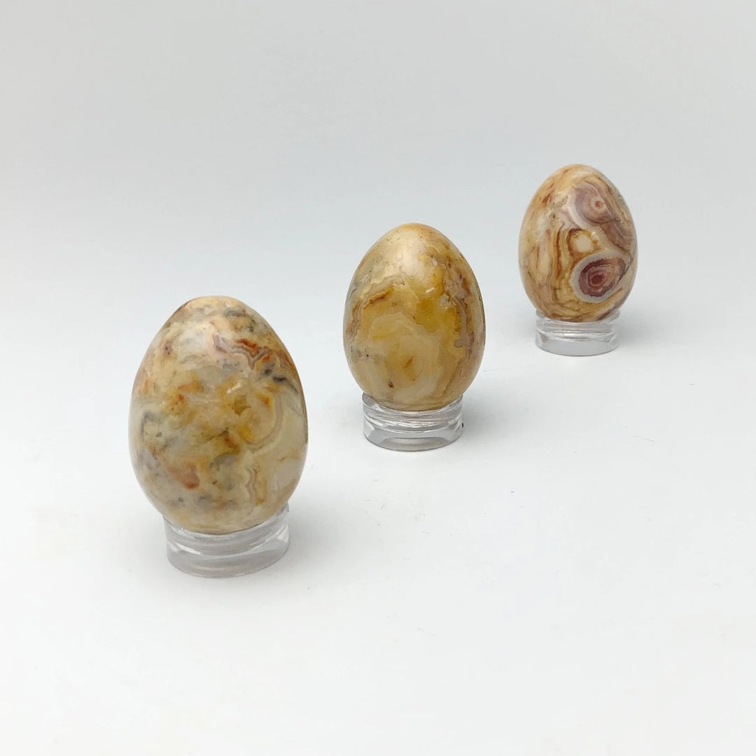 Crazy Lace Agate Mini Egg