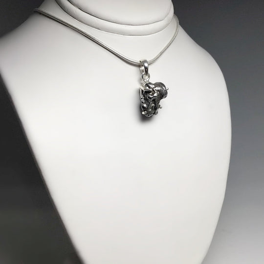 Campo Del Cielo Meteorite Pendant at $99 Each