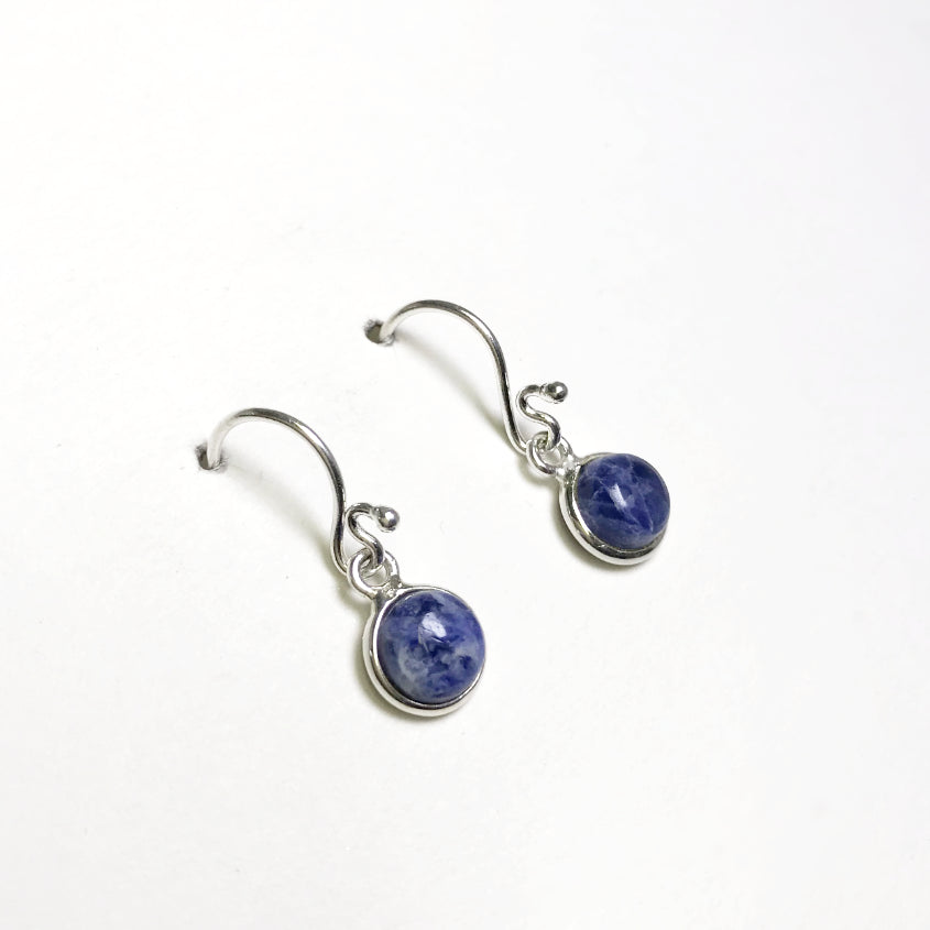 Sodalite Dangle Earrings