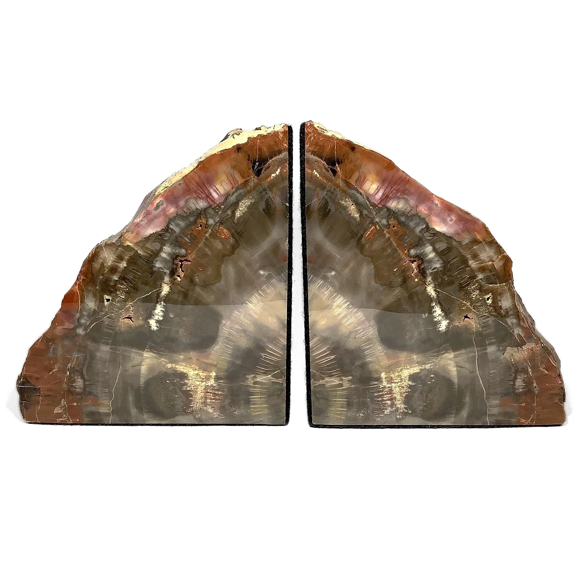 Araucaria Petrified Wood Bookends