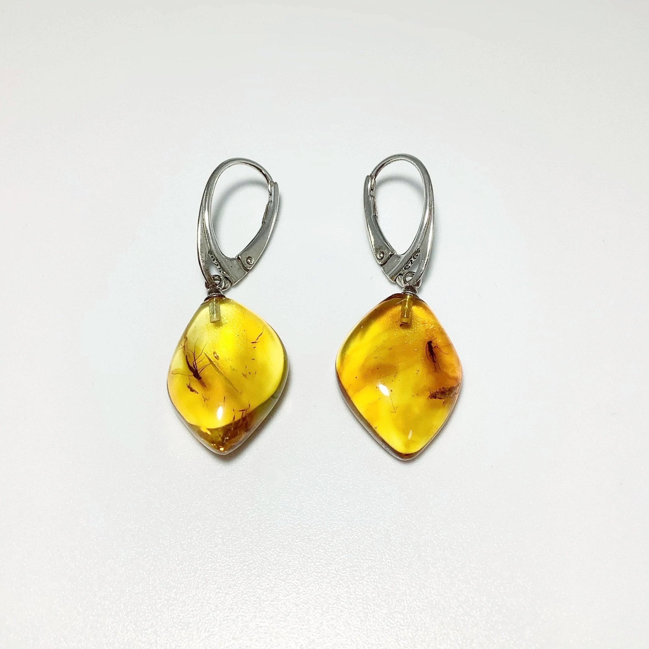 Amber with Preserved Insect Inclusion Dangle Earrings